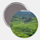 Theetuin Cameron Highlands Magneet (Voorkant / Achterkant)