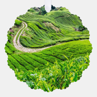 Theetuin Cameron Highlands Ornament Kaart