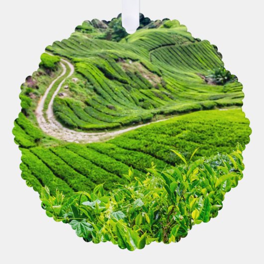 Theetuin Cameron Highlands Ornament Kaart (Voorkant)