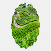 Theetuin Cameron Highlands Ornament Kaart (Rechts)