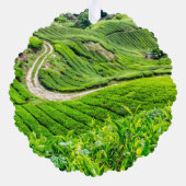 Theetuin Cameron Highlands Ornament Kaart (Achterkant)