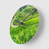 Theetuin Cameron Highlands Ronde Klok (Hoek)