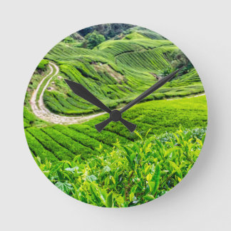 Theetuin Cameron Highlands Ronde Klok