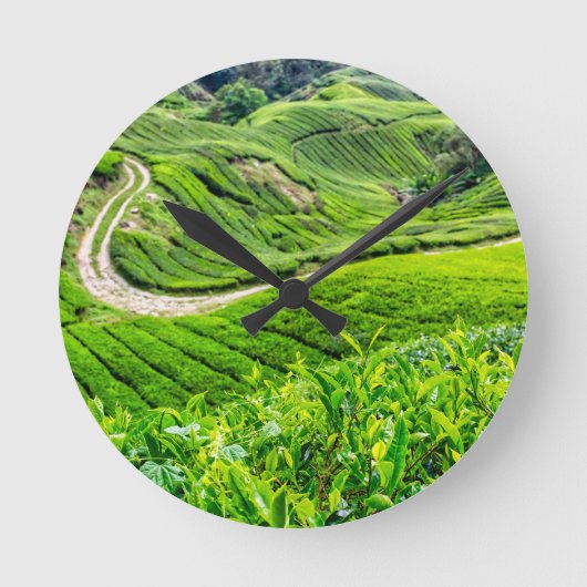 Theetuin Cameron Highlands Ronde Klok (Voorkant)