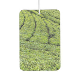 Theetuinen van Munnar in de lucht Luchtverfrisser