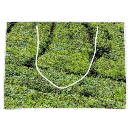 Theetuinen van Munnar op Groot Cadeauzakje