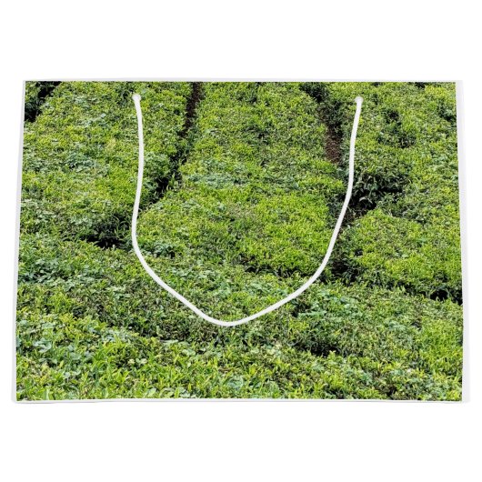 Theetuinen van Munnar op Groot Cadeauzakje (Voorkant)