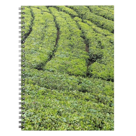 Theetuinen van Munnar op Notitieboek (Voorkant)