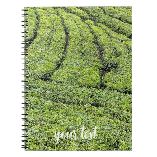 Theetuinen van Munnar op Notitieboek (Voorkant)