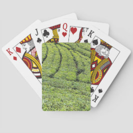 Theetuinen van Munnar op pokerspelkaarten Pokerkaarten
