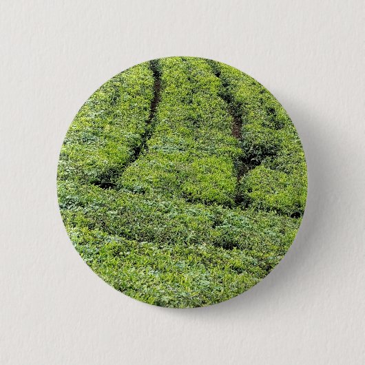 Theetuinen van Munnar op Ronde Button 5,7 Cm (Voorkant)