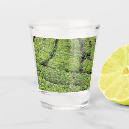 Theetuinen van Munnar op Shot Glas