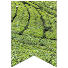 Theetuinen van Munnar op vlaggenlijnen Vlaggetjes