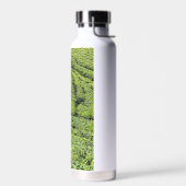 Theetuinen van Munnar op waterfles (Links)