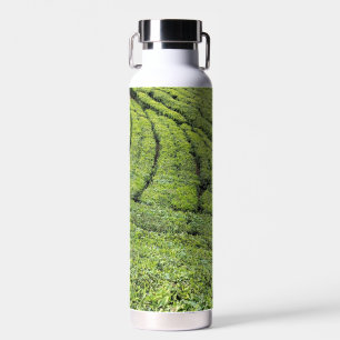 Theetuinen van Munnar op waterfles