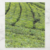 Theetuinen van Munnar op wijnfleslabel Wijn Etiket (Enkel label)