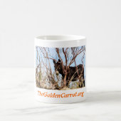 TheGoldenCarrot Mok "Diablo" (Center)