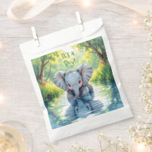 Thema babyshower: babyolifant
