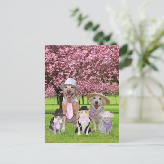  thema Funny Pet Pink Briefkaart (Staand voorkant)
