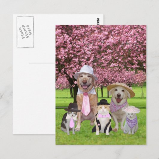 thema Funny Pet Pink Briefkaart (Voorkant / Achterkant)