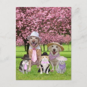  thema Funny Pet Pink Briefkaart