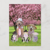 thema Funny Pet Pink Briefkaart (Voorkant)