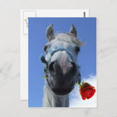 thema paard en roos briefkaart (Voorkant / Achterkant)