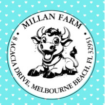 thema Schattigee Koe