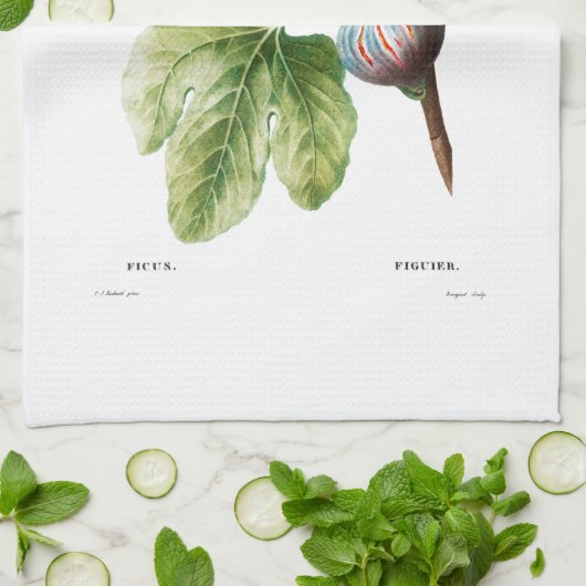 THEMA TOWEL : REDOUTÉ : FIGS THEEDOEK (Gevouwen)