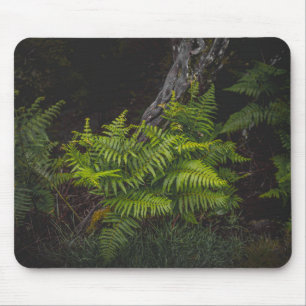 Thematische sombere groene natuur met varens muismat