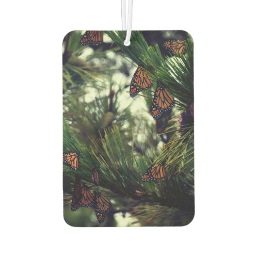 THEMONARCHS MONARCHS 3 LUCHTVERFRISSER (Achterkant)