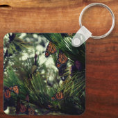 THEMONARCHS MONARCHS 3  SLEUTELHANGER (Achterkant)