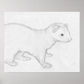 "Theo" Ferret Drawing Poster (Voorkant)