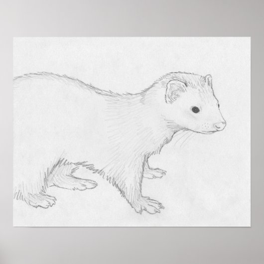 "Theo" Ferret Drawing Poster (Voorkant)