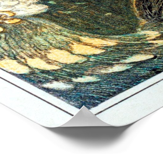 Theo Van Hoytema  Peacock Open Wings Peafow Poster (Hoek)