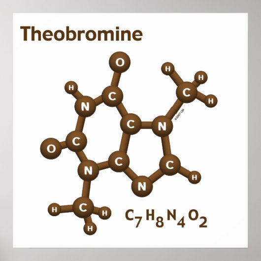 Theobromine Poster (Voorkant)