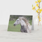 Theodore loopt: Wenskaart voor vrijheid Kaart (Gele Bloem)