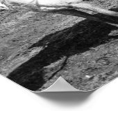 Theodore Roosevelt die terugkeert uit een Beer shu Poster (Hoek)