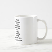 Theodore Roosevelt Doctrine Strenuous Life