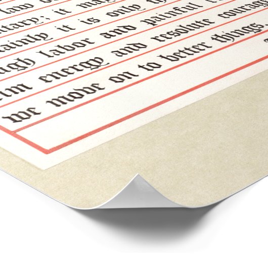 Theodore Roosevelt Motivatie Poster (Hoek)