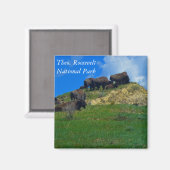 Theodore Roosevelt National Park ND magneet (Voorkant / Achterkant)