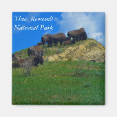 Theodore Roosevelt National Park ND magneet (Voorkant)