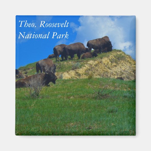 Theodore Roosevelt National Park ND magneet (Voorkant)
