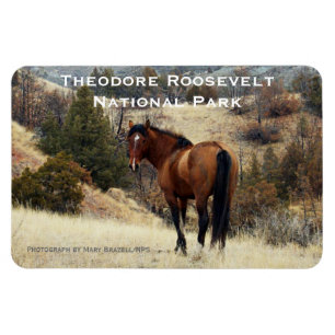 Theodore Roosevelt NP Souvenir Magnet Magneet