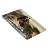 Theodore Roosevelt NP Souvenir Magnet Magneet (Rechterzijde)
