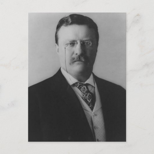 Theodore Roosevelt Portrait Briefkaart (Voorkant)