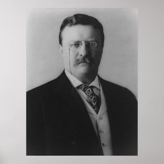 Theodore Roosevelt Portrait Poster (Voorkant)