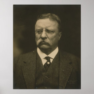 Theodore Roosevelt Portret van Pach Brothers Poster