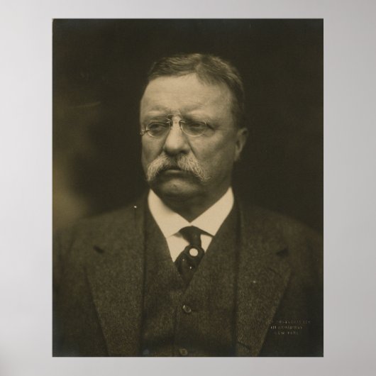 Theodore Roosevelt Portret van Pach Brothers Poster (Voorkant)
