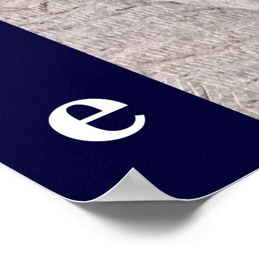 Theodore Roosevelt Poster (Hoek)